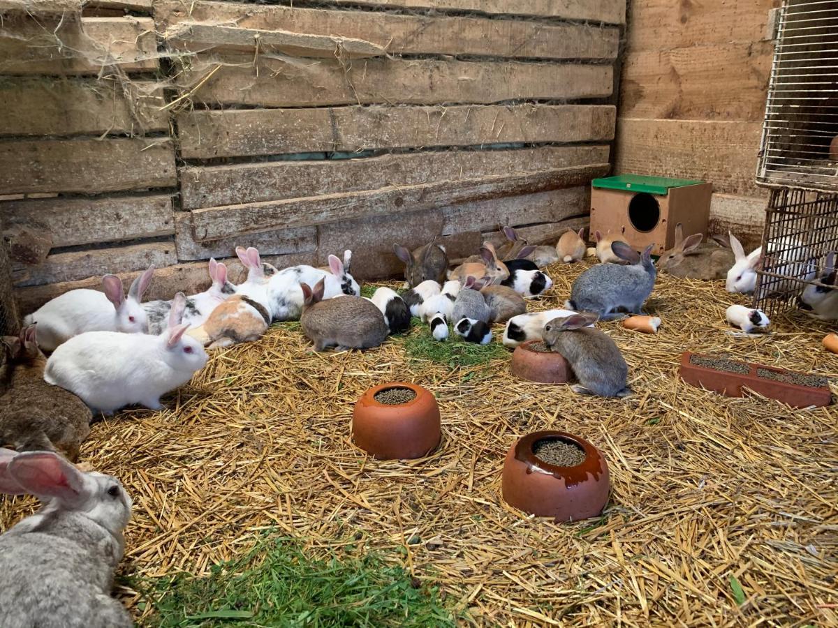 Maison d'hôtes Agroturismo Urresti à Gautegiz Arteaga Extérieur photo