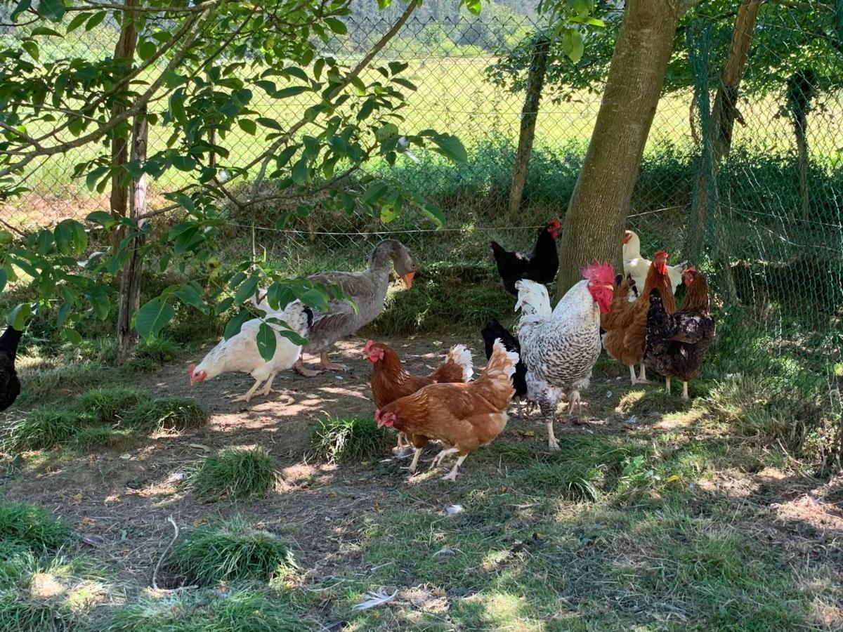 Maison d'hôtes Agroturismo Urresti à Gautegiz Arteaga Extérieur photo